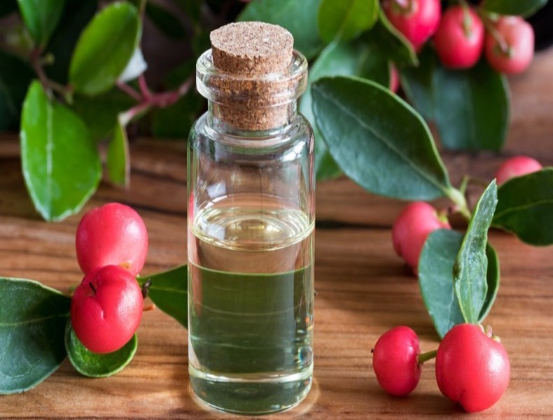 Wintergreen Oil: Uses and Advantages - Anetawellnex